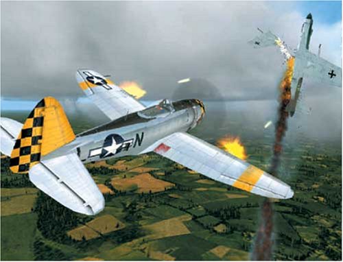 The flight simulator