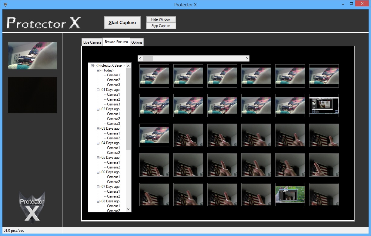 ProtectorX Picture Browser